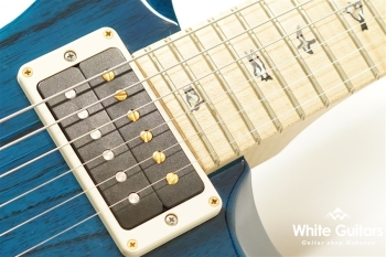 Custom 24 2016 Limited Swamp Ash Body - Blue Matteo